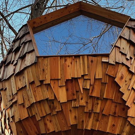 T'Glamp Bee House Hotel Rovte Bagian luar foto