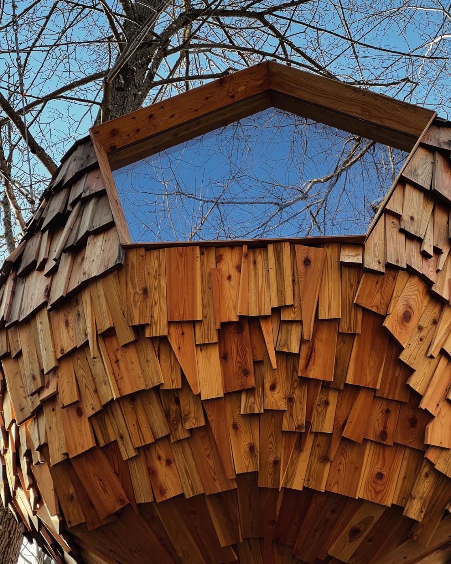 T'Glamp Bee House Hotel Rovte Bagian luar foto